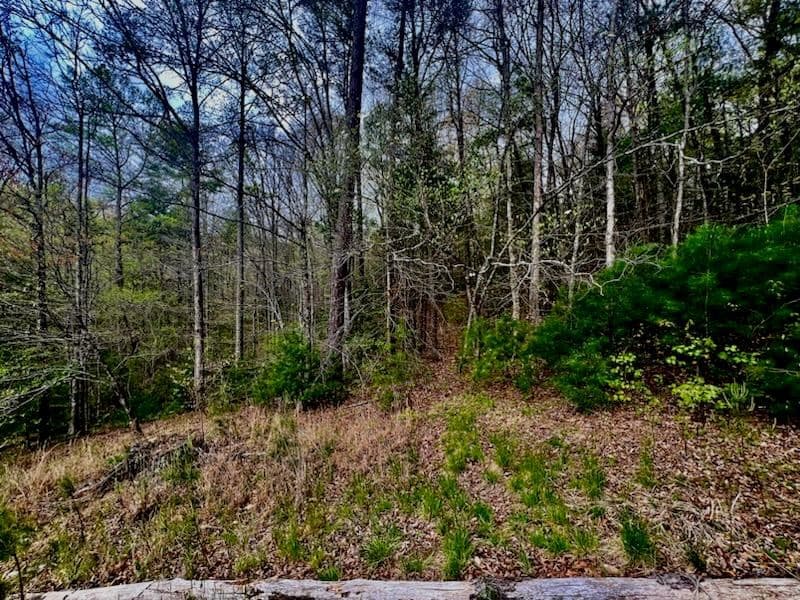 16378 Hwy 64, Murphy NC 28906 - Photo