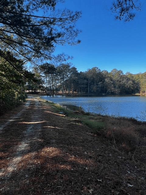 1966 Hwy 142 E, Covington GA 30014 - Photo