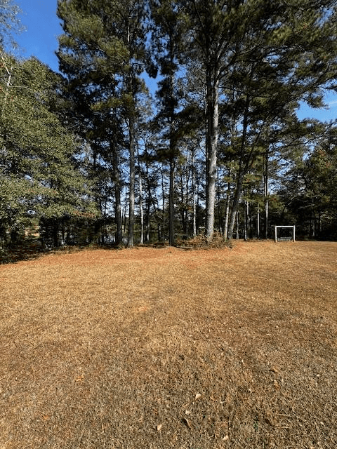 1966 Hwy 142 E, Covington GA 30014 - Photo