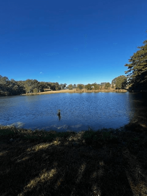 1966 Hwy 142 E, Covington GA 30014 - Photo