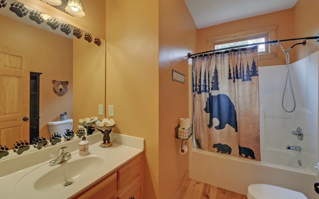 169 Wildwood Court, Ellijay GA 30540 - Photo