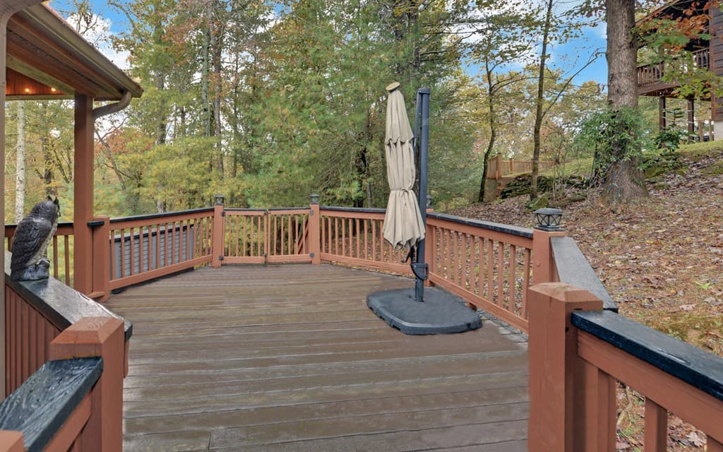 169 Wildwood Court, Ellijay GA 30540 - Photo