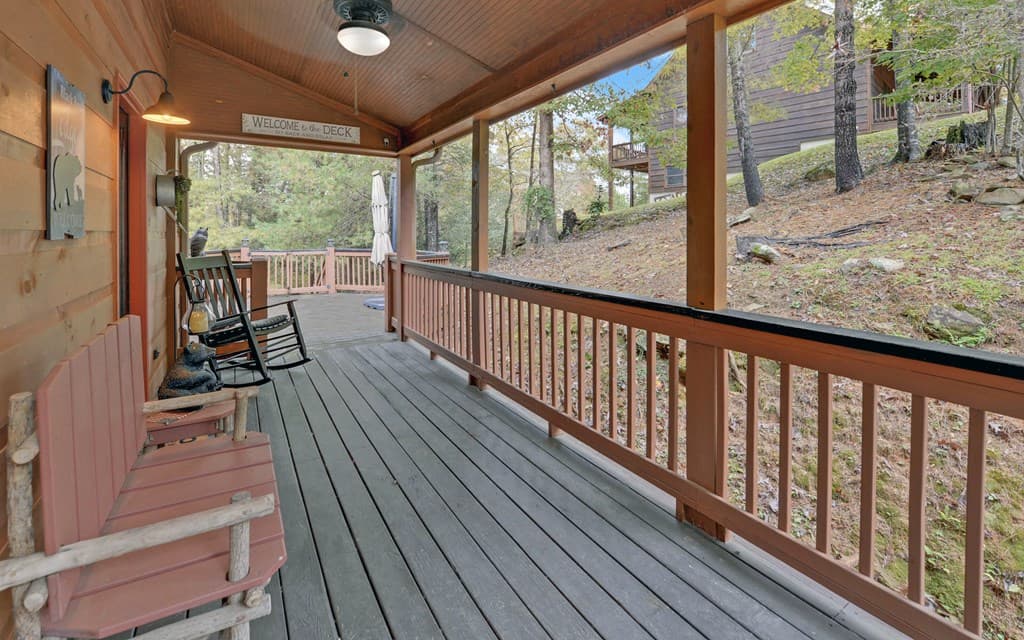 169 Wildwood Court, Ellijay GA 30540 - Photo