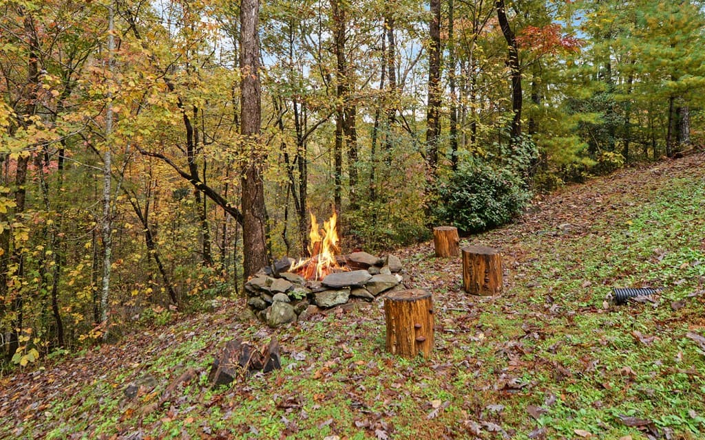 169 Wildwood Court, Ellijay GA 30540 - Photo