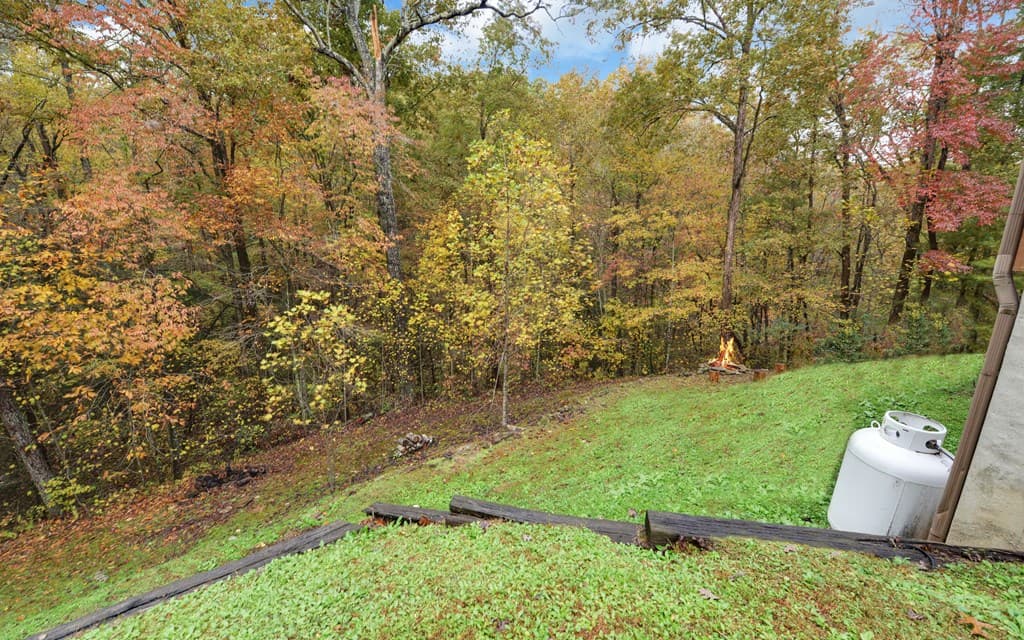 169 Wildwood Court, Ellijay GA 30540 - Photo