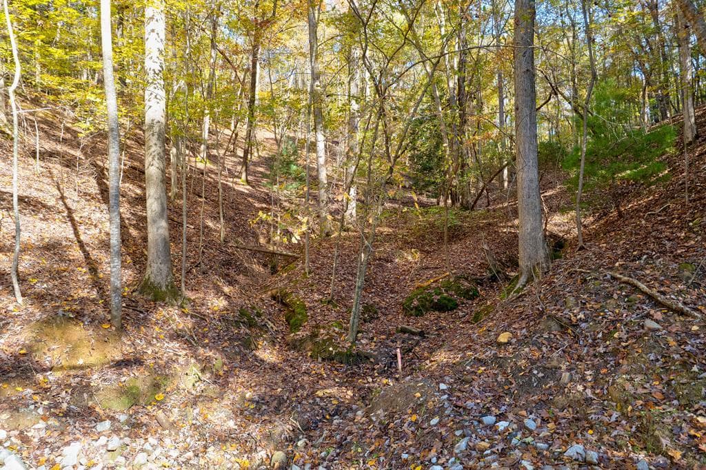 1.14 AC Parker Way, Ellijay GA 30540 - Photo