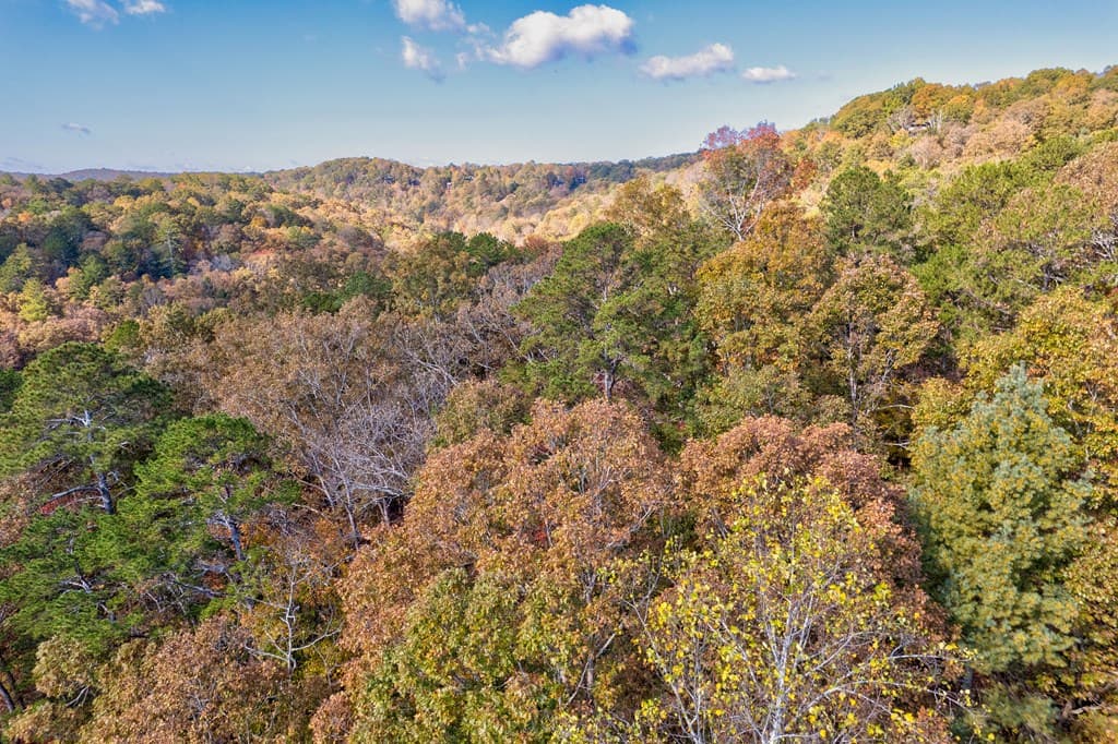 1.14 AC Parker Way, Ellijay GA 30540 - Photo