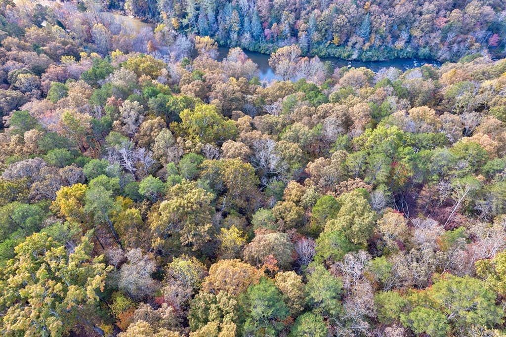 1.14 AC Parker Way, Ellijay GA 30540 - Photo