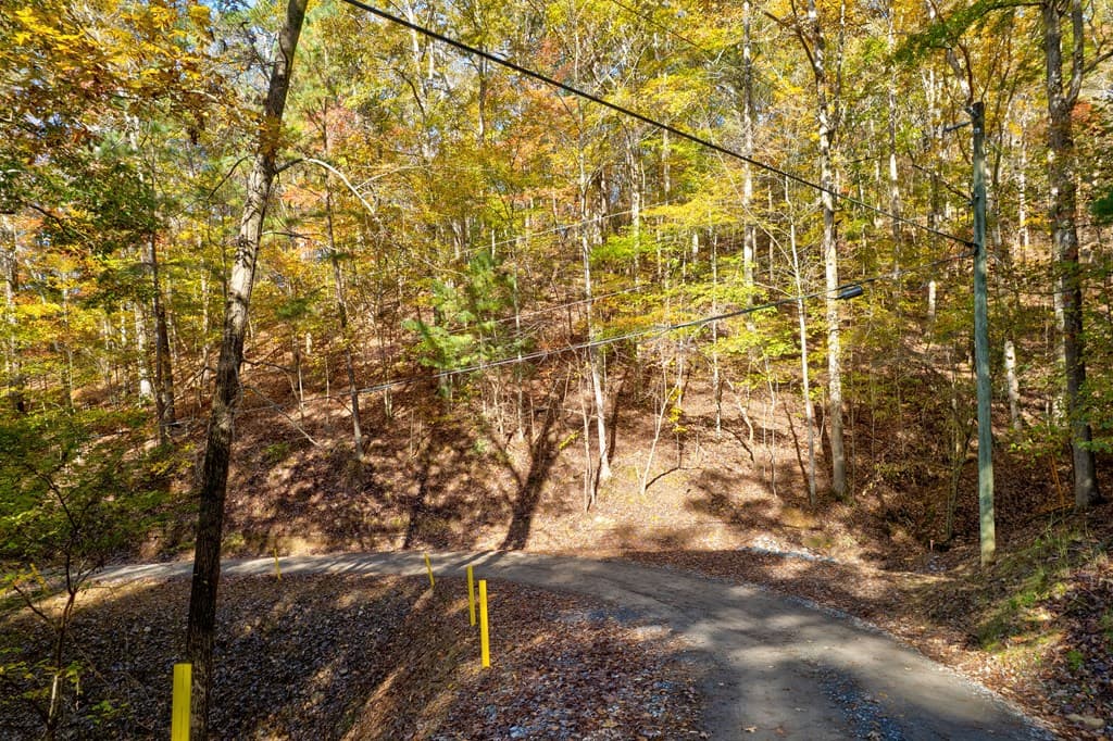 1.14 AC Parker Way, Ellijay GA 30540 - Photo