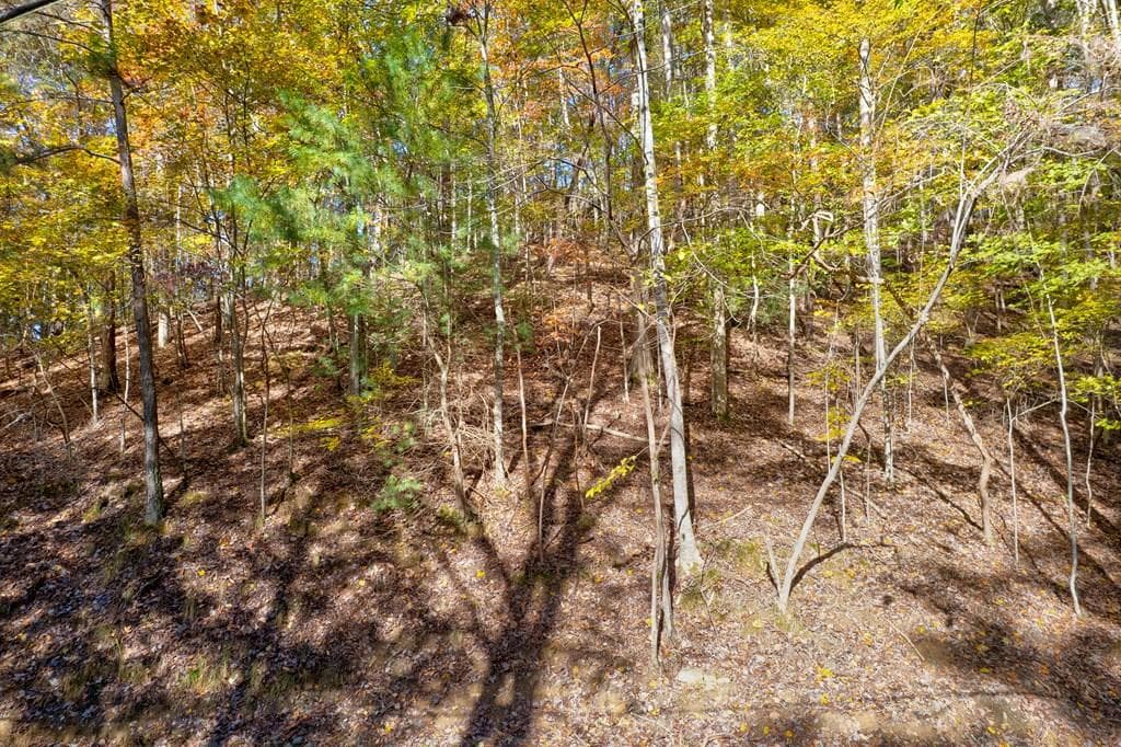 1.14 AC Parker Way, Ellijay GA 30540 - Primary photo