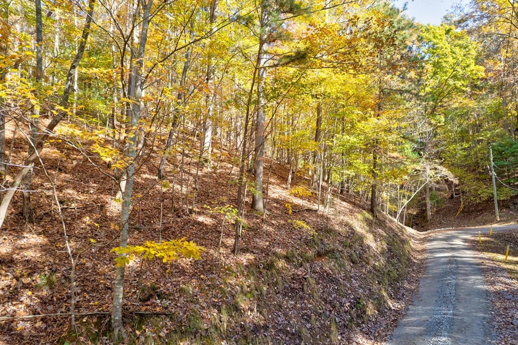1.14 AC Parker Way, Ellijay GA 30540 - Photo