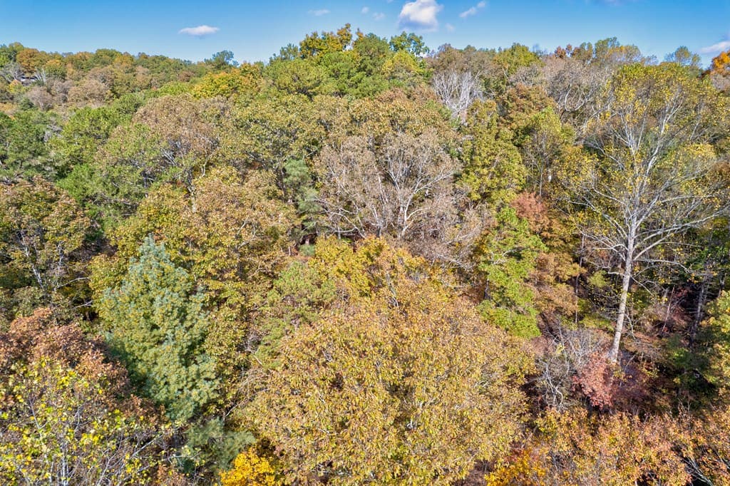 1.14 AC Parker Way, Ellijay GA 30540 - Photo