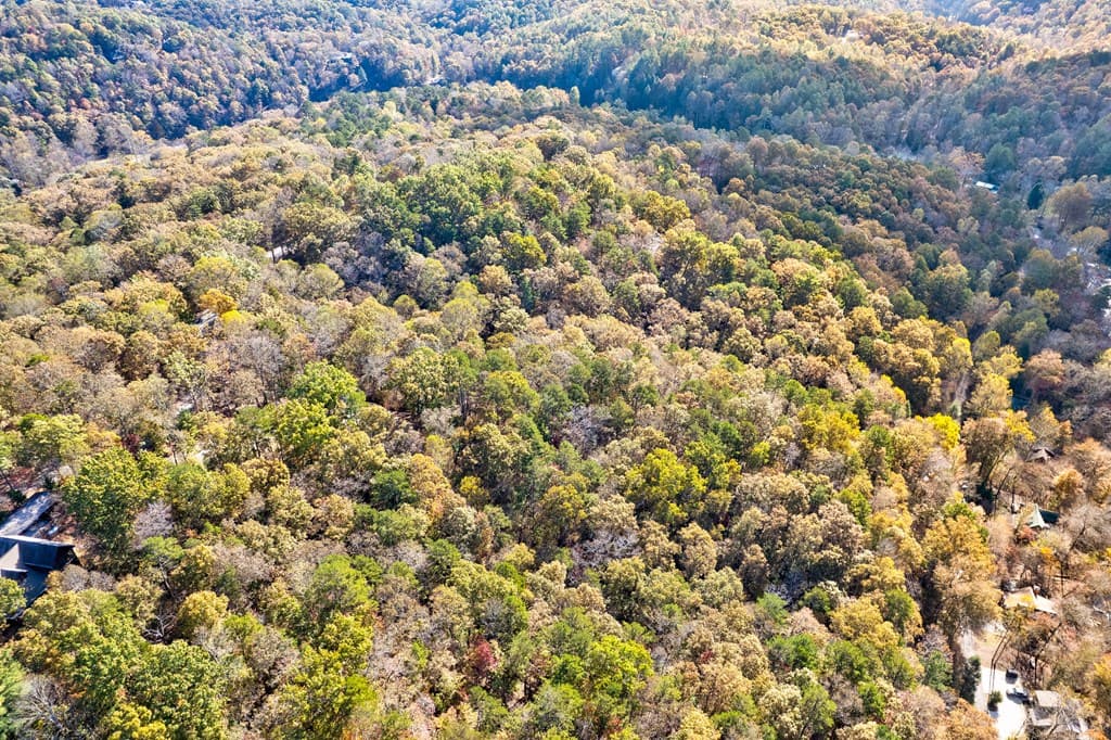 1.14 AC Parker Way, Ellijay GA 30540 - Photo