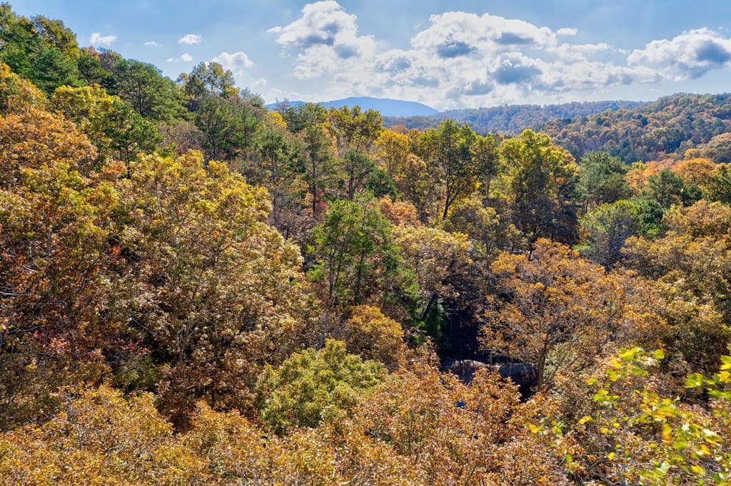 1.14 AC Parker Way, Ellijay GA 30540 - Photo