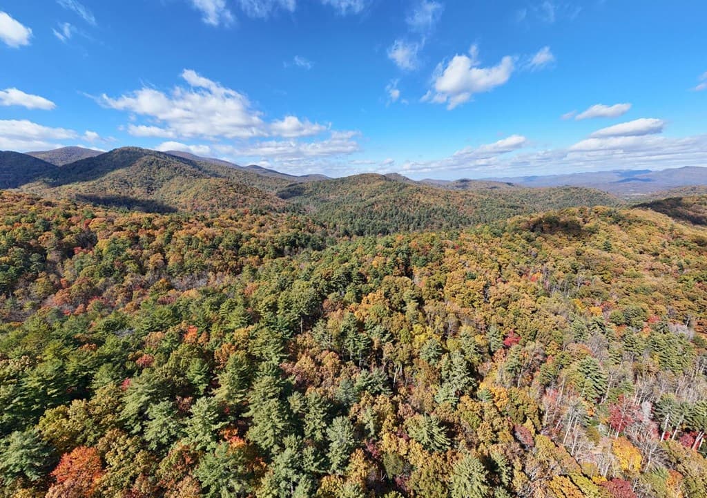 Lot 8 Cindy Cove, Blairsville GA 30512 - Photo