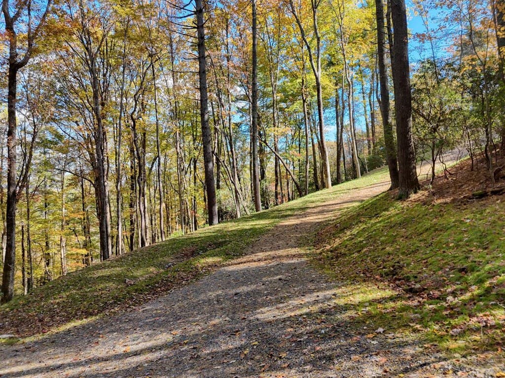 Lot 8 Cindy Cove, Blairsville GA 30512 - Photo