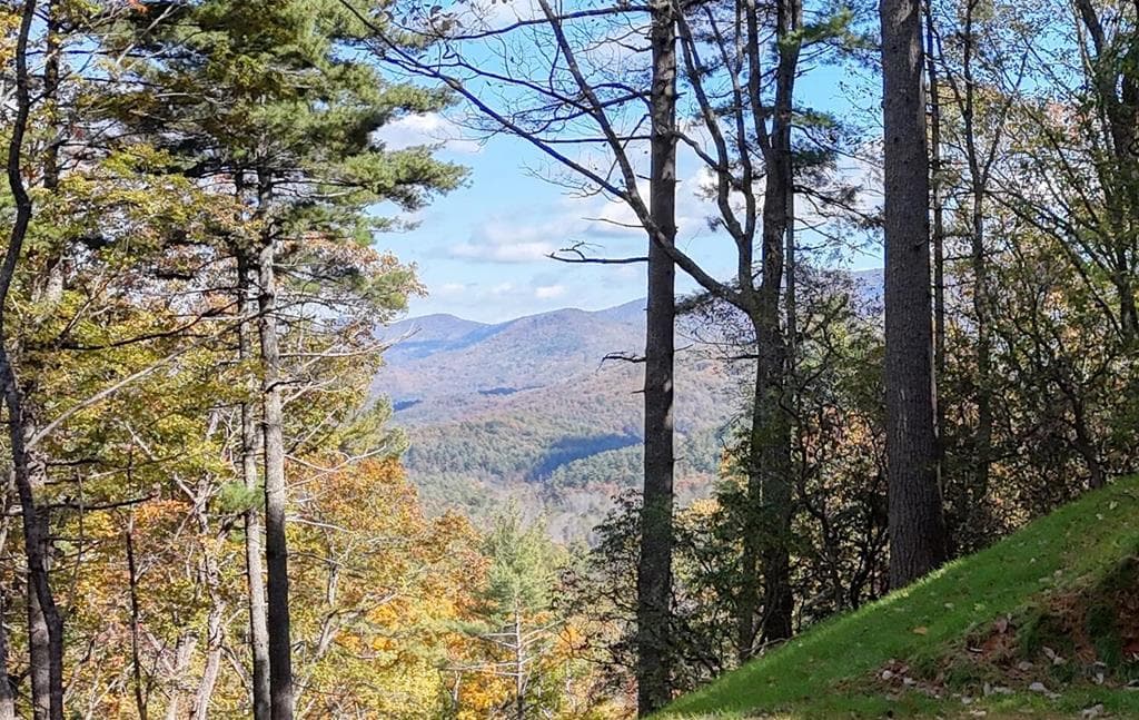Lot 8 Cindy Cove, Blairsville GA 30512 - Primary photo