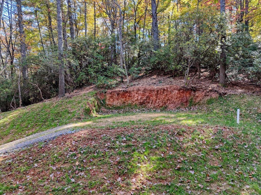 Lot 8 Cindy Cove, Blairsville GA 30512 - Photo