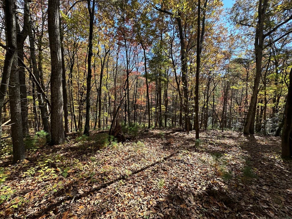 00 Stover Creek, Blue Ridge GA 30513 - Photo