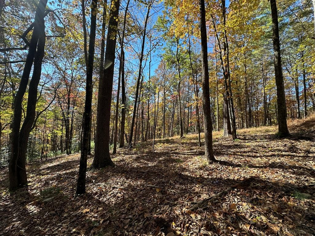 00 Stover Creek, Blue Ridge GA 30513 - Primary photo