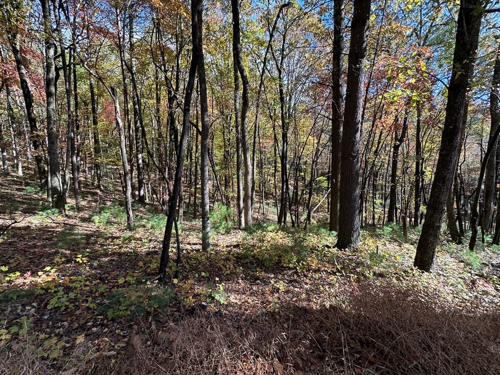 00 Stover Creek, Blue Ridge GA 30513 - Photo
