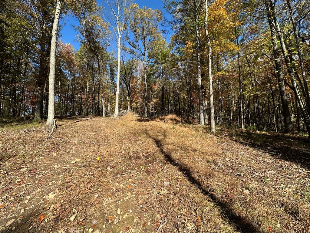 00 Stover Creek, Blue Ridge GA 30513 - Photo