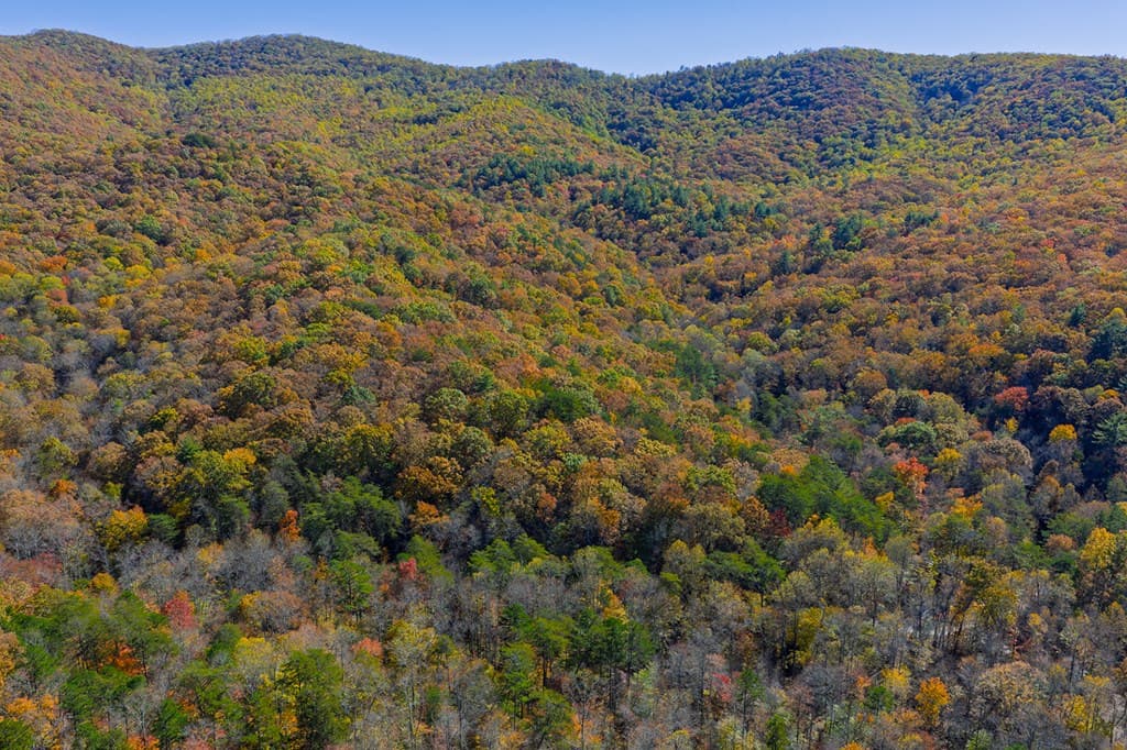 N/A Willard Mountain Road, Ellijay GA 30513 - Photo