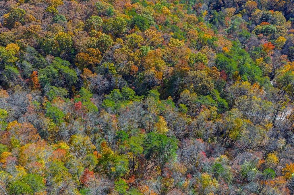 N/A Willard Mountain Road, Ellijay GA 30513 - Photo