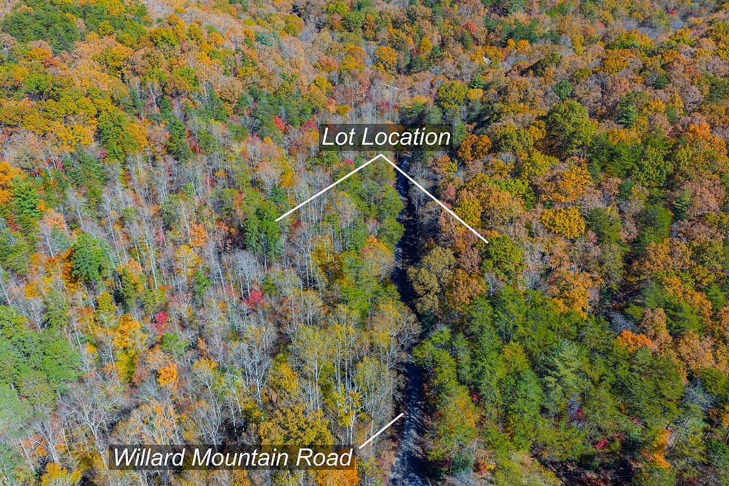 N/A Willard Mountain Road, Ellijay GA 30513 - Photo