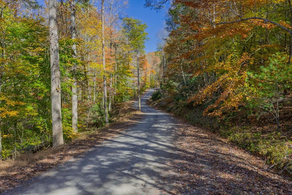 N/A Willard Mountain Road, Ellijay GA 30513 - Photo