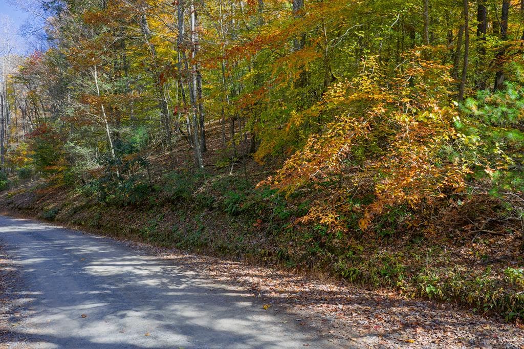 N/A Willard Mountain Road, Ellijay GA 30513 - Photo