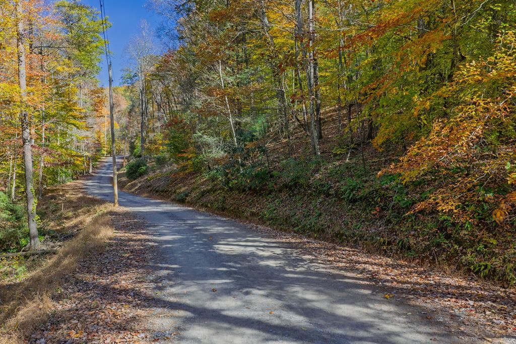 N/A Willard Mountain Road, Ellijay GA 30513 - Photo