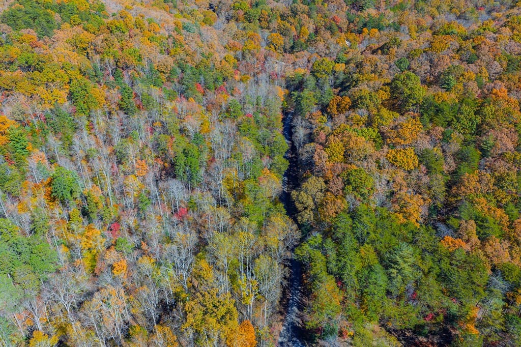 N/A Willard Mountain Road, Ellijay GA 30513 - Photo