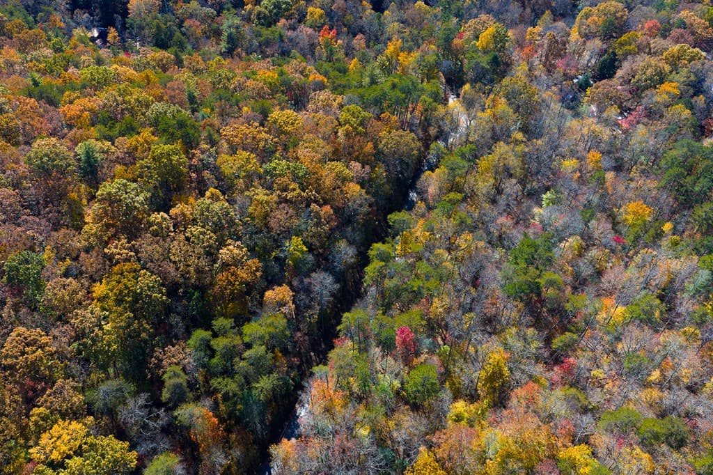 N/A Willard Mountain Road, Ellijay GA 30513 - Photo