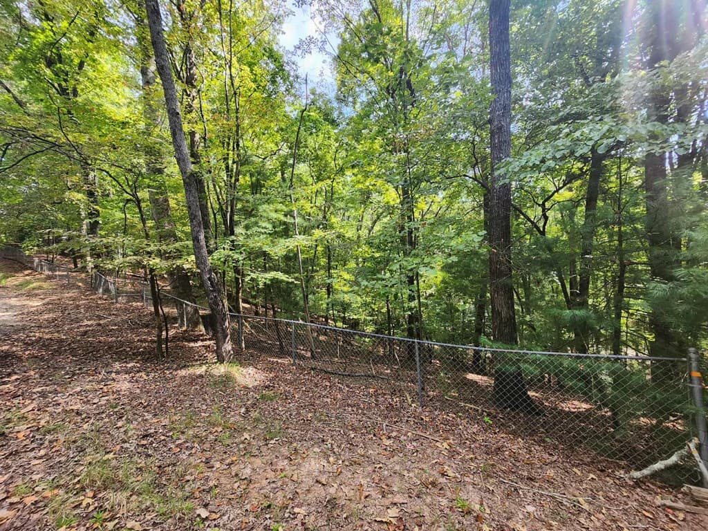 19B/2545 Frigate Drive, Ellijay GA 30540 - Photo