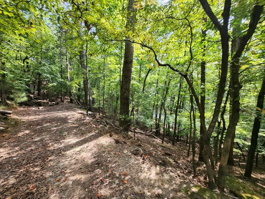 19B/2545 Frigate Drive, Ellijay GA 30540 - Photo