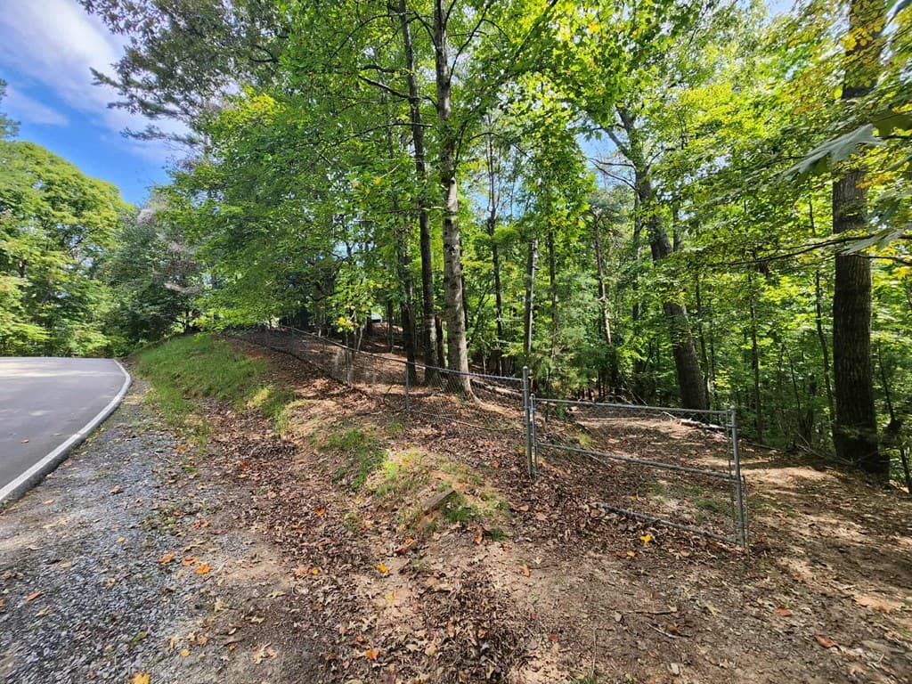 19B/2545 Frigate Drive, Ellijay GA 30540 - Photo