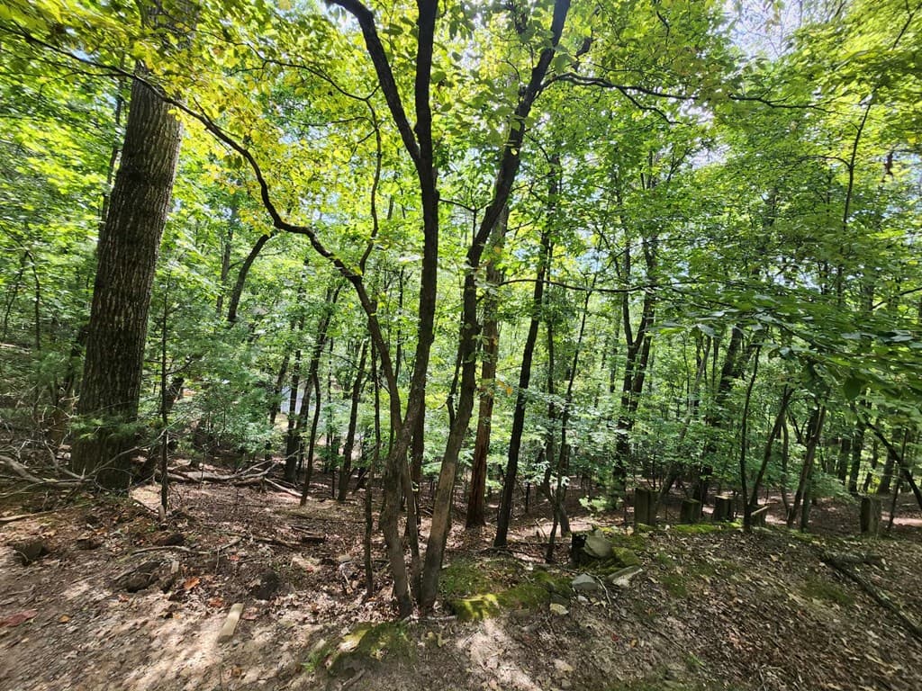 19B/2545 Frigate Drive, Ellijay GA 30540 - Photo
