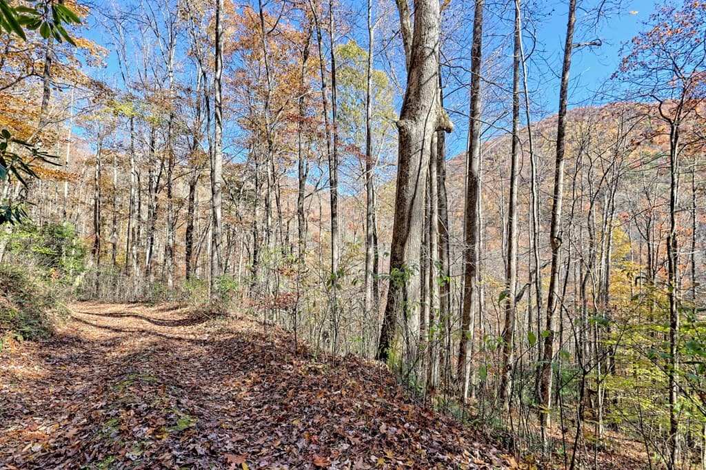 1307 Clear Creek Road, Hayesville NC 28904 - Photo