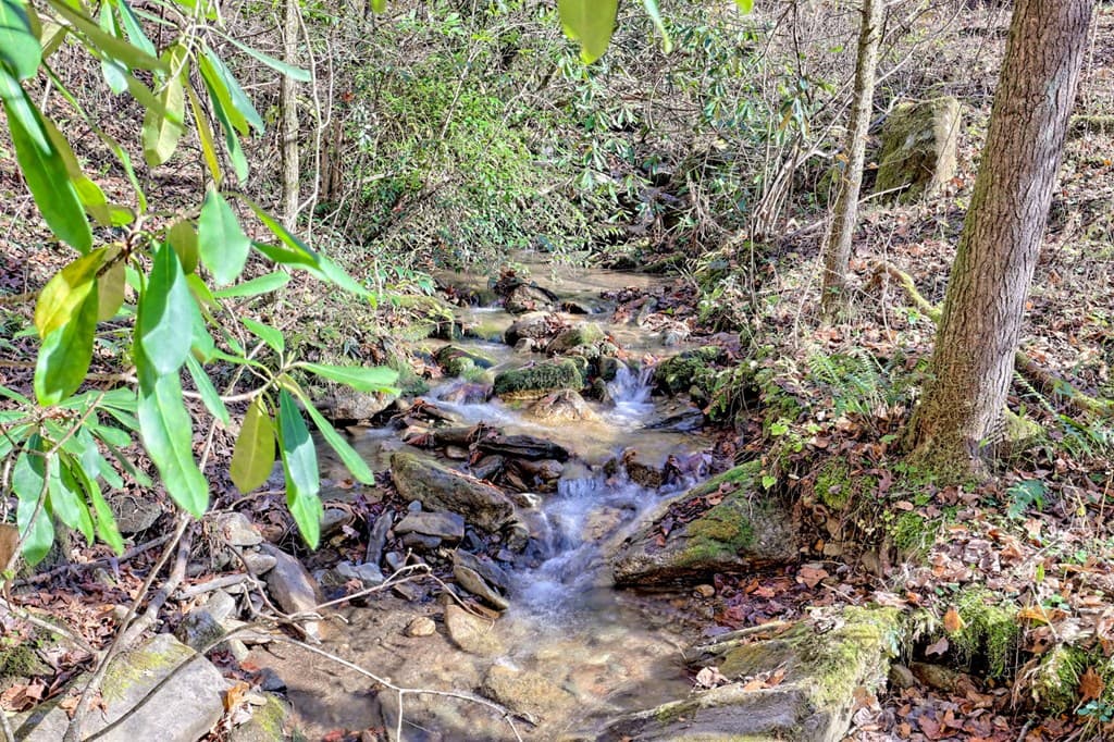 1307 Clear Creek Road, Hayesville NC 28904 - Photo