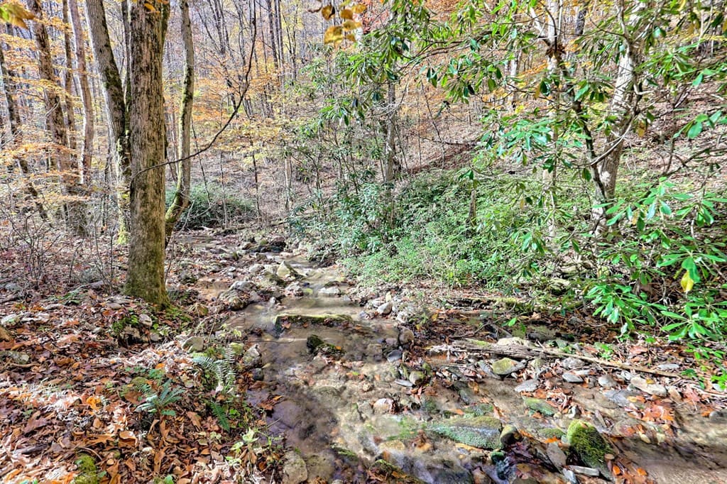 1307 Clear Creek Road, Hayesville NC 28904 - Photo