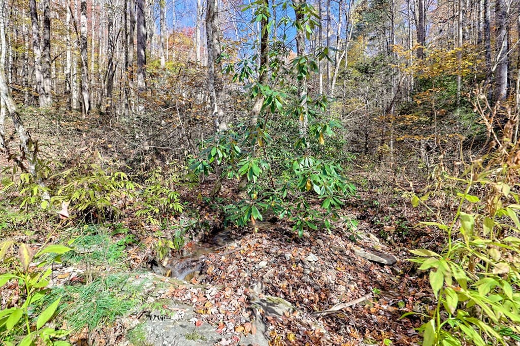 1307 Clear Creek Road, Hayesville NC 28904 - Photo