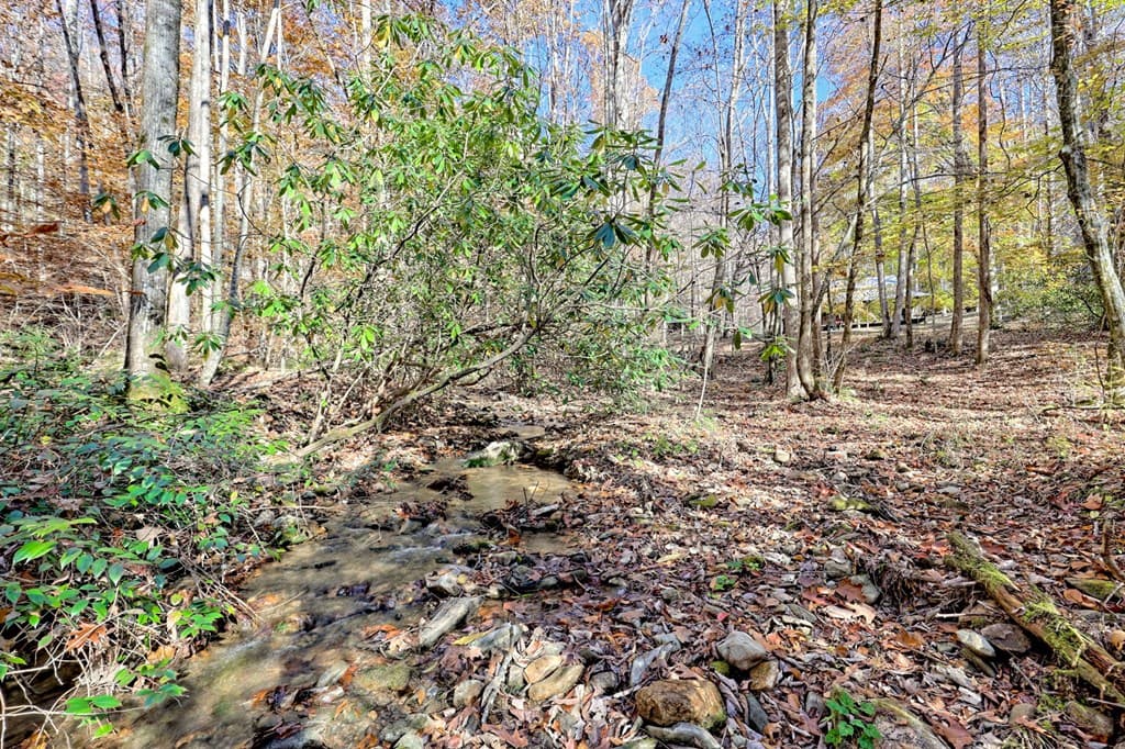 1307 Clear Creek Road, Hayesville NC 28904 - Photo