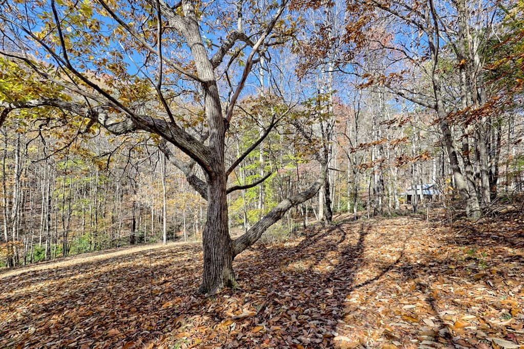 1307 Clear Creek Road, Hayesville NC 28904 - Photo