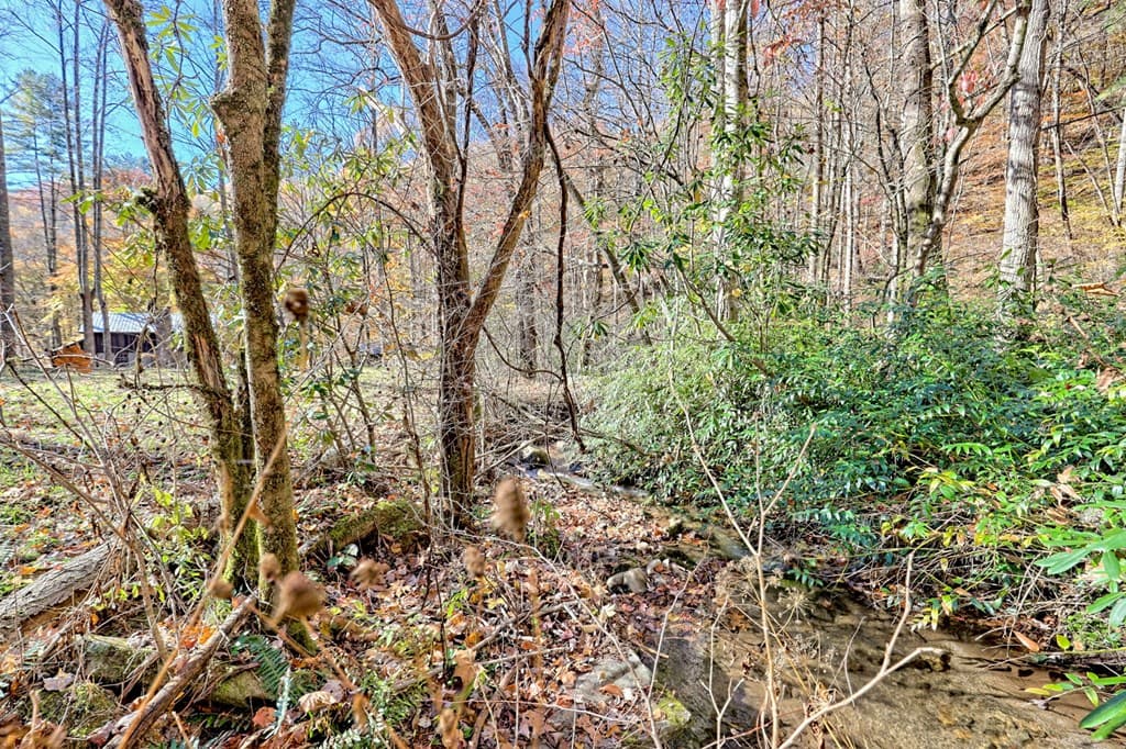 1307 Clear Creek Road, Hayesville NC 28904 - Photo