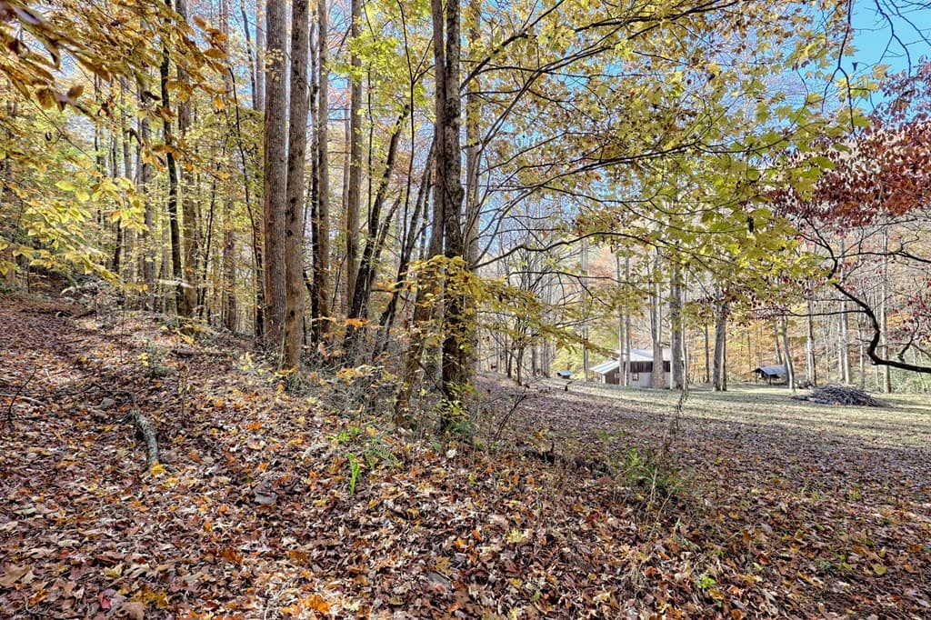 1307 Clear Creek Road, Hayesville NC 28904 - Photo