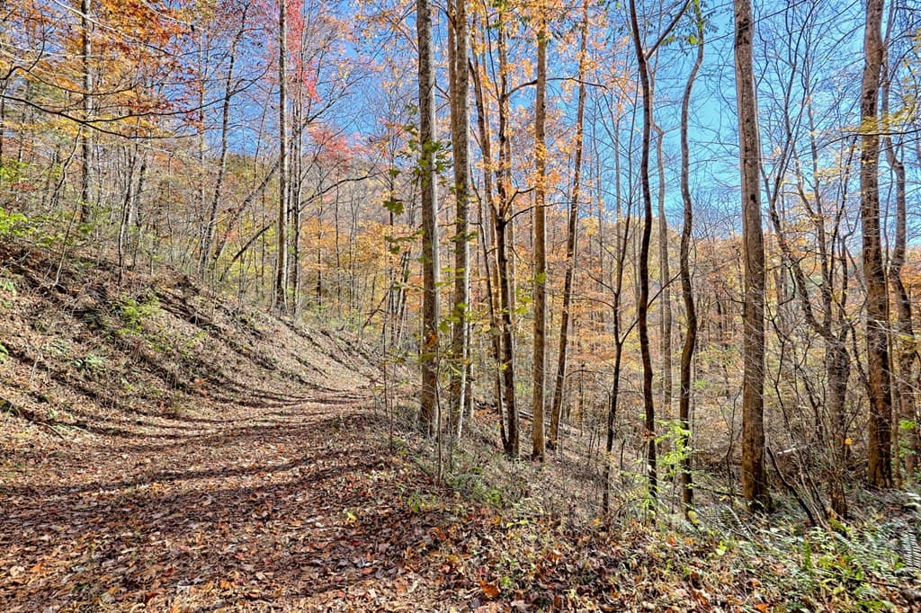 1307 Clear Creek Road, Hayesville NC 28904 - Photo