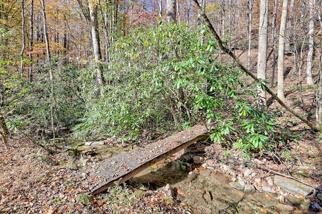 1307 Clear Creek Road, Hayesville NC 28904 - Photo