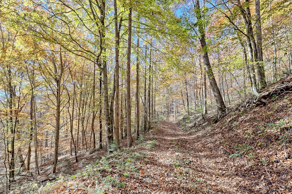 1307 Clear Creek Road, Hayesville NC 28904 - Photo