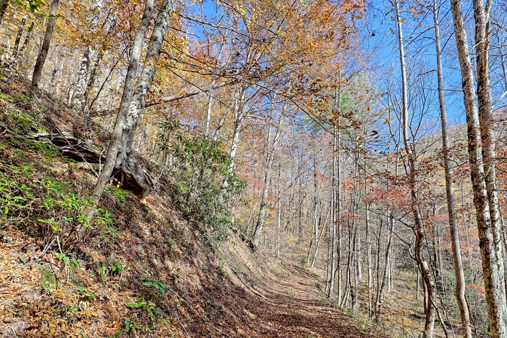 1307 Clear Creek Road, Hayesville NC 28904 - Photo
